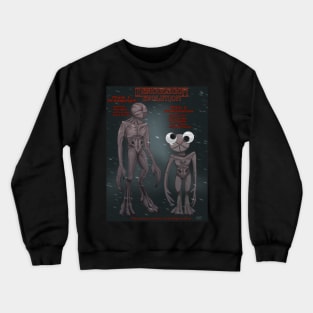 Demogorgon Evolution DemiGooGoo Stranger Things Crewneck Sweatshirt